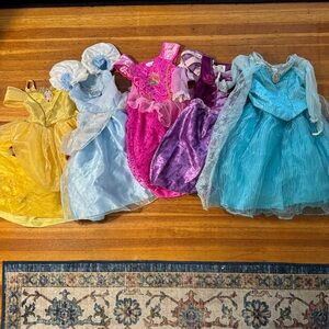 Disney Princess Dresses - set of 5